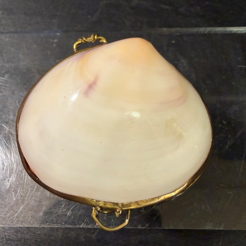 Vintage Natural Clam Shell Coin Purse Trinket Box Gold Tone Hinge 3 Inch